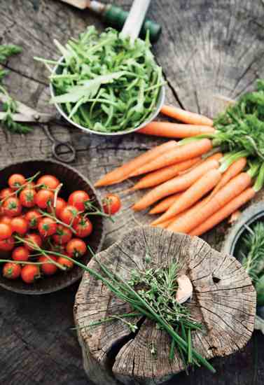 Look into a wide array of sources to stock your winter larder, including your garden, farmers' market or local organic grocery.
